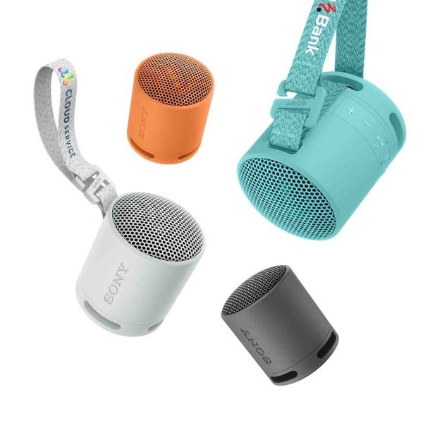 Sony Bluetooth Speaker SRS-XB100- Blauw